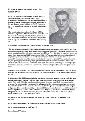 A preview of a PDF biography for Paton, Norman James Alexander